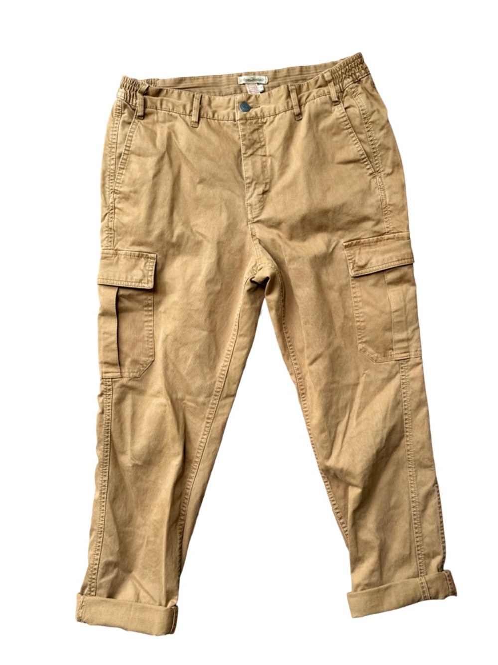 Carbon 2 Cobalt Tan Cargo Pants